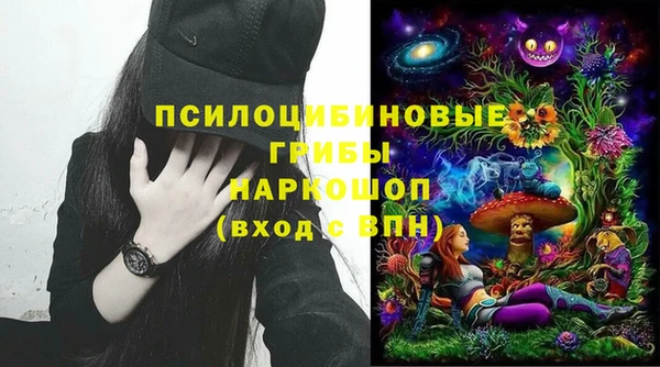СК Россошь