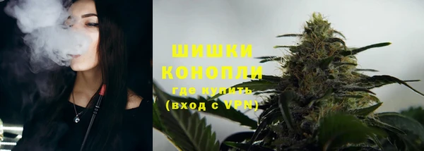 spice Арсеньев