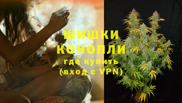 spice Арсеньев