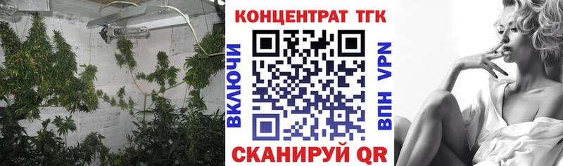 ТГК жижа  Аша 