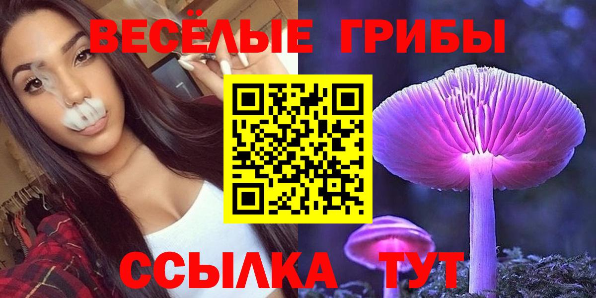 Аша  Псилоцибиновые грибы ЛСД  Галлюциногенные грибы ЛСД  Вход с VPN 